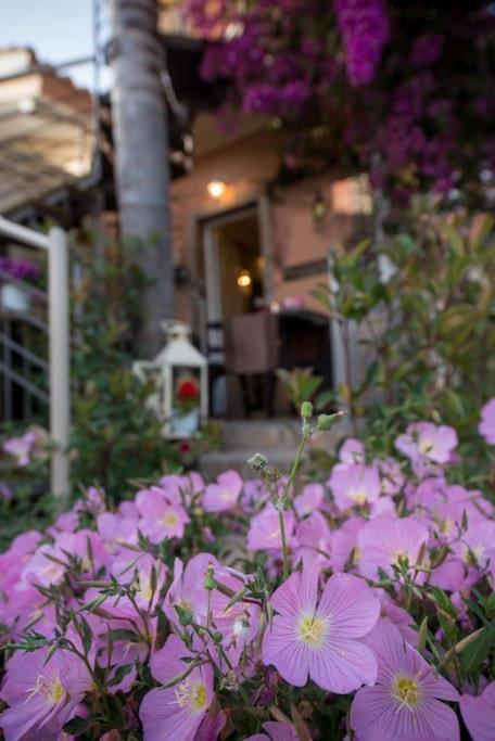 קלמאטה Bougainvillea House 1 מראה חיצוני תמונה