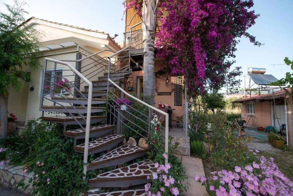קלמאטה Bougainvillea House 1 מראה חיצוני תמונה